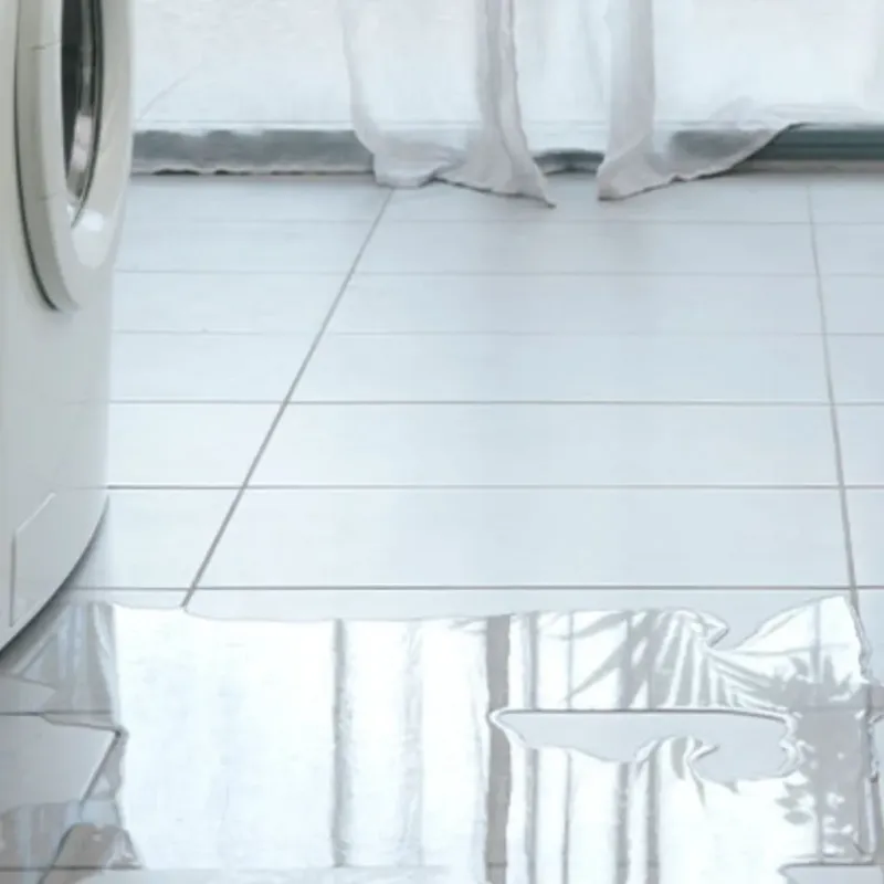 Appliance Leak Cleanup in North Highlands, CA