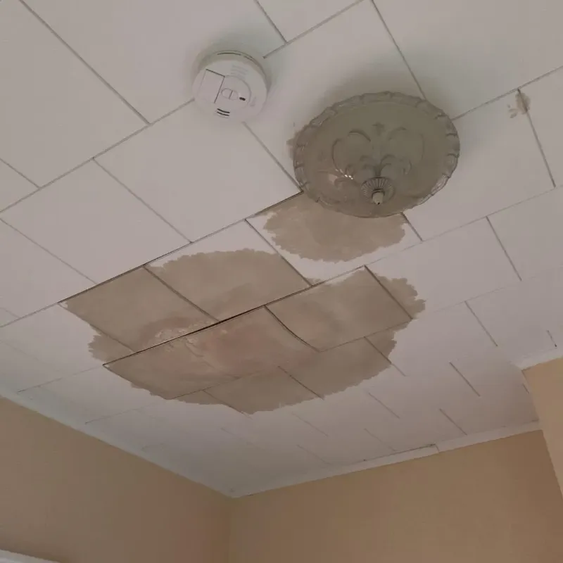 Ceiling Water Damage Repair in North Highlands, CA