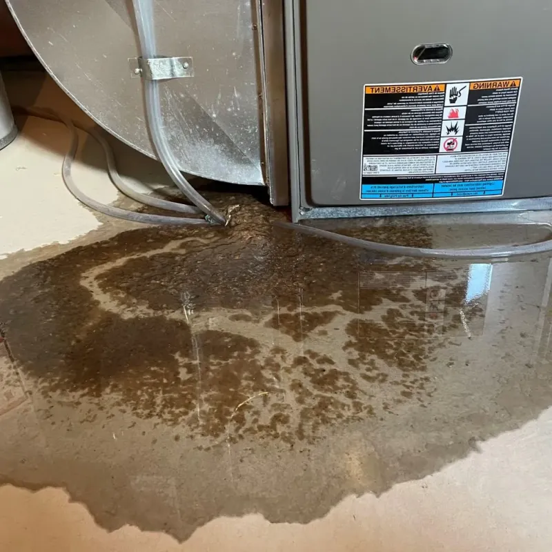 Pipe Burst and Leak Restoration in North Highlands, CA
